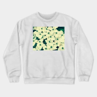 Spring Tree Blooms Ashburn, VA Crewneck Sweatshirt